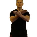 Wing Chun Kuen Forms Siu Nim Tao