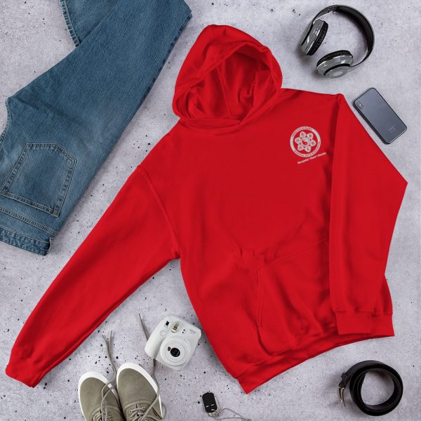 Wing Chun Embroidered Unisex Hoodie - Image 5